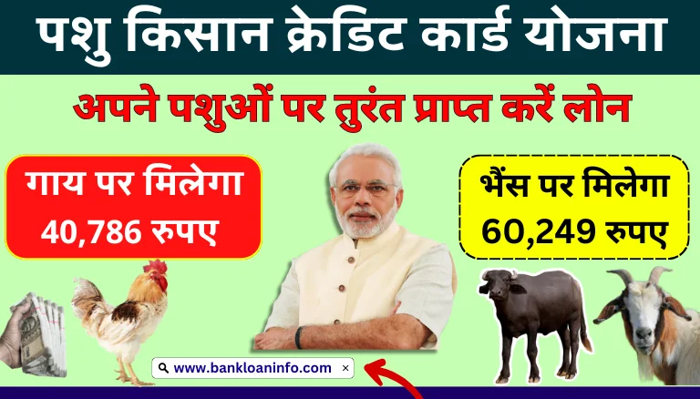 pashu kisan credit card loan